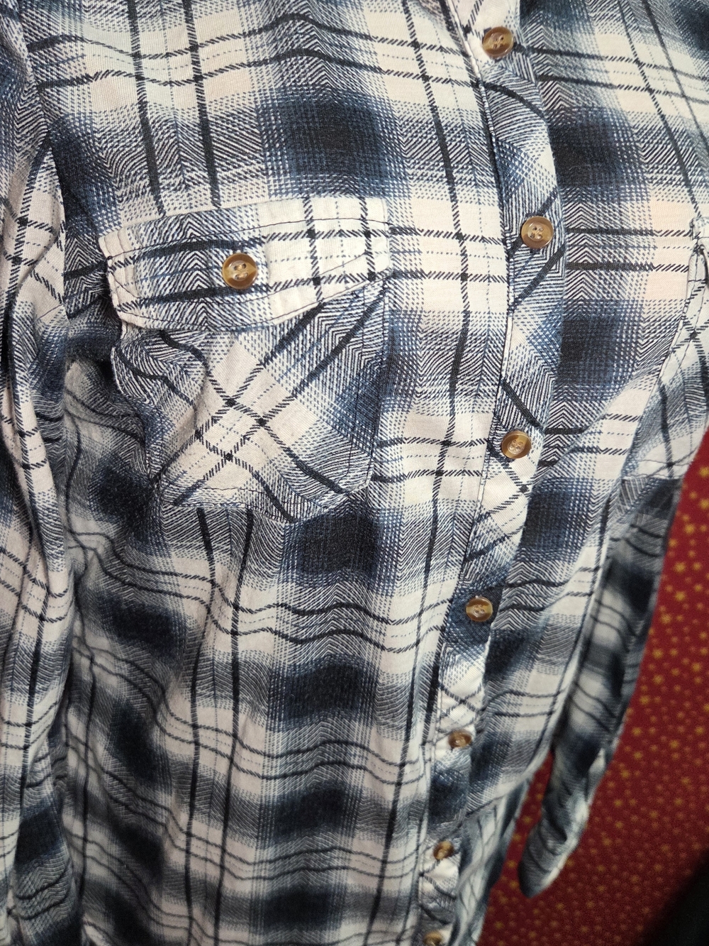 **Passport Blue and White Plaid Button-Down Shirt** - Picture 2 of 5